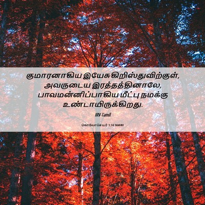 Picture 06 - கொலோசெயர் 1:14 TAMIRV - குமாரனாகிய - Bible Verse Picture