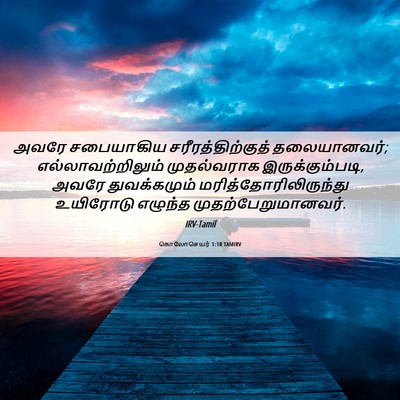 Picture 06 - கொலோசெயர் 1:18 TAMIRV - அவரே சபையாகிய - Bible Verse Picture