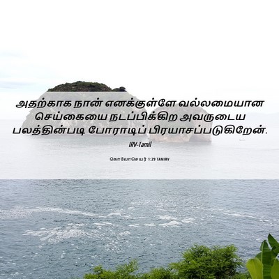 Picture 06 - கொலோசெயர் 1:29 TAMIRV - அதற்காக நான் - Bible Verse Picture