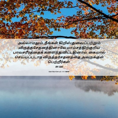 Picture 06 - கொலோசெயர் 2:11 TAMIRV - அல்லாமலும், - Bible Verse Picture