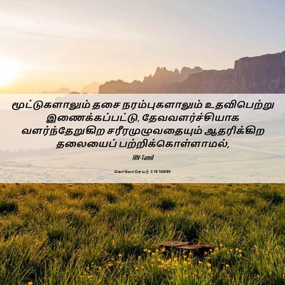 Picture 06 - கொலோசெயர் 2:18 TAMIRV - மூட்டுகளாலும் தசை - Bible Verse Picture