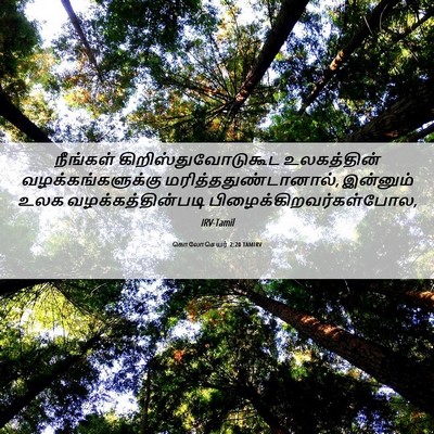 Picture 06 - கொலோசெயர் 2:20 TAMIRV - நீங்கள் - Bible Verse Picture