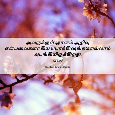 Picture 06 - கொலோசெயர் 2:3 TAMIRV - அவருக்குள் ஞானம் - Bible Verse Picture
