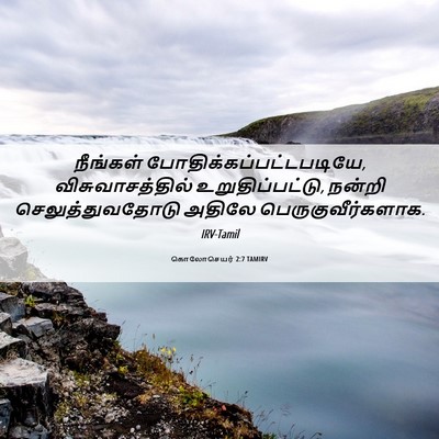 Picture 06 - கொலோசெயர் 2:7 TAMIRV - நீங்கள் - Bible Verse Picture