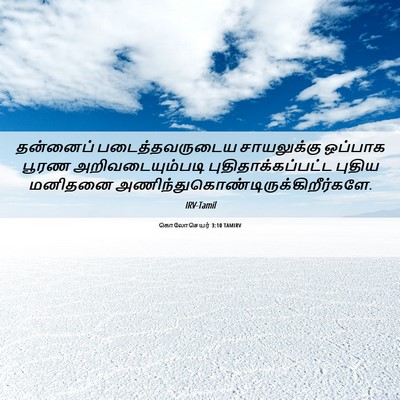 Picture 06 - கொலோசெயர் 3:10 TAMIRV - தன்னைப் - Bible Verse Picture