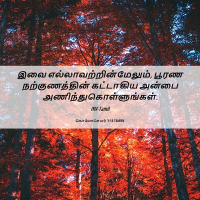 Picture 06 - கொலோசெயர் 3:14 TAMIRV - இவை - Bible Verse Picture