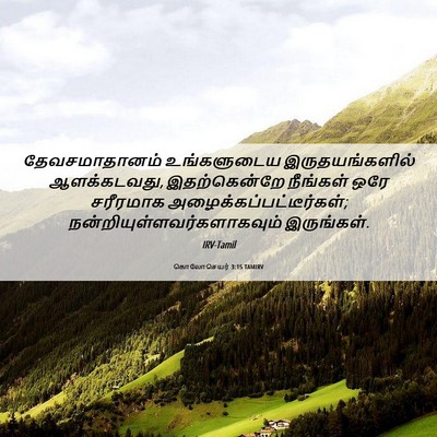 Picture 06 - கொலோசெயர் 3:15 TAMIRV - தேவசமாதானம் - Bible Verse Picture