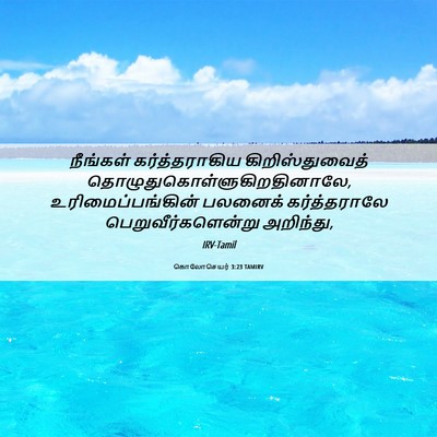 Picture 06 - கொலோசெயர் 3:23 TAMIRV - நீங்கள் - Bible Verse Picture