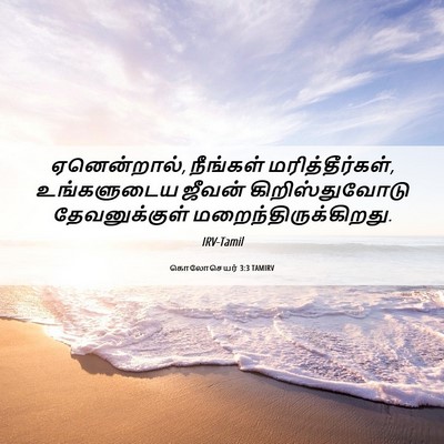 Picture 06 - கொலோசெயர் 3:3 TAMIRV - ஏனென்றால், - Bible Verse Picture