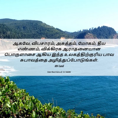 Picture 06 - கொலோசெயர் 3:5 TAMIRV - ஆகவே, விபசாரம், - Bible Verse Picture