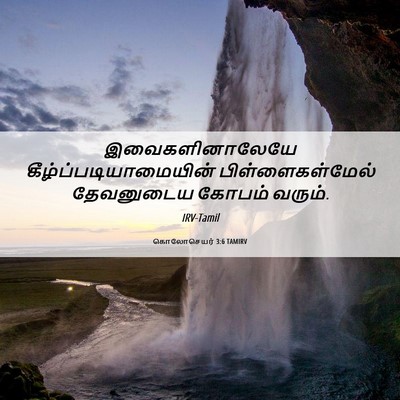 Picture 06 - கொலோசெயர் 3:6 TAMIRV - இவைகளினாலேயே - Bible Verse Picture