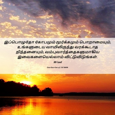 Picture 06 - கொலோசெயர் 3:8 TAMIRV - இப்பொழுதோ கோபமும் - Bible Verse Picture