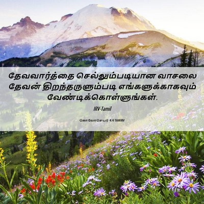 Picture 06 - கொலோசெயர் 4:4 TAMIRV - தேவவார்த்தை - Bible Verse Picture