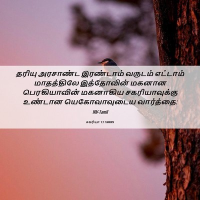 Picture 06 - சகரியா 1:1 TAMIRV - தரியு அரசாண்ட - Bible Verse Picture