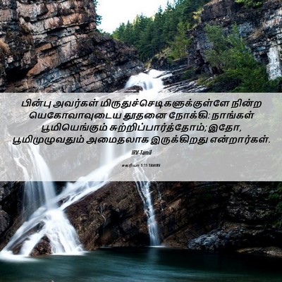 Picture 06 - சகரியா 1:11 TAMIRV - பின்பு அவர்கள் - Bible Verse Picture