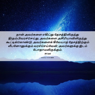 Picture 06 - சகரியா 10:10 TAMIRV - நான் அவர்களை - Bible Verse Picture