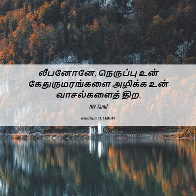 Picture 06 - சகரியா 11:1 TAMIRV - லீபனோனே, நெருப்பு - Bible Verse Picture