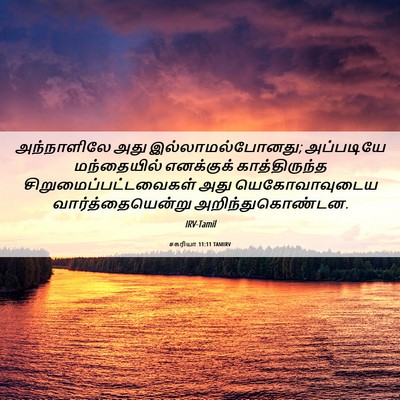 Picture 06 - சகரியா 11:11 TAMIRV - அந்நாளிலே அது - Bible Verse Picture