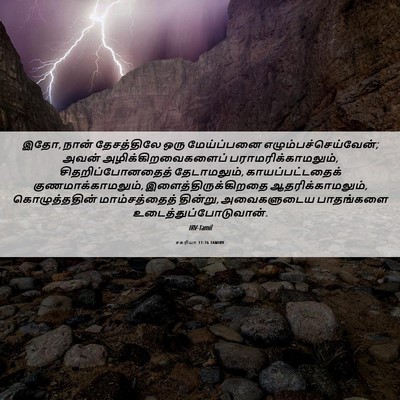 Picture 06 - சகரியா 11:16 TAMIRV - இதோ, நான் - Bible Verse Picture