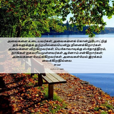 Picture 06 - சகரியா 11:5 TAMIRV - அவைகளை - Bible Verse Picture
