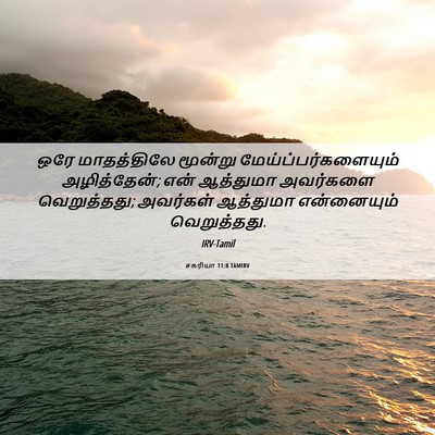 Picture 06 - சகரியா 11:8 TAMIRV - ஒரே மாதத்திலே - Bible Verse Picture