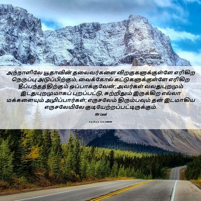 Picture 06 - சகரியா 12:6 TAMIRV - அந்நாளிலே - Bible Verse Picture