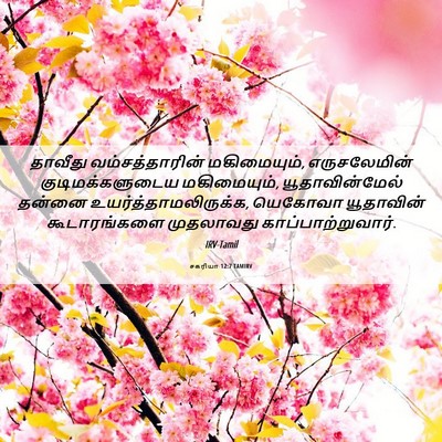 Picture 06 - சகரியா 12:7 TAMIRV - தாவீது - Bible Verse Picture