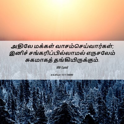 Picture 06 - சகரியா 14:11 TAMIRV - அதிலே மக்கள் - Bible Verse Picture