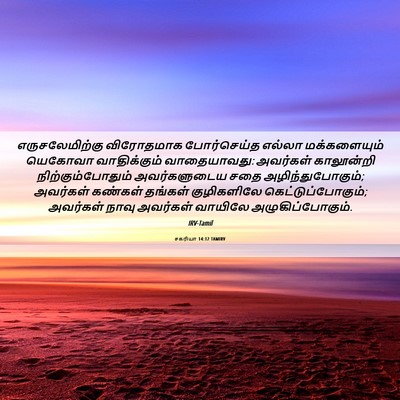Picture 06 - சகரியா 14:12 TAMIRV - எருசலேமிற்கு - Bible Verse Picture