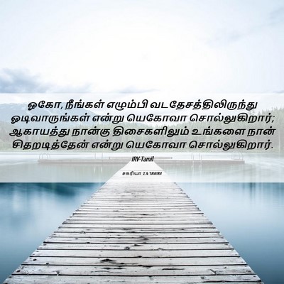 Picture 06 - சகரியா 2:6 TAMIRV - ஓகோ, நீங்கள் - Bible Verse Picture