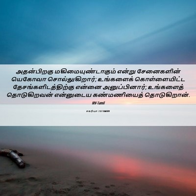 Picture 06 - சகரியா 2:8 TAMIRV - அதன்பிறகு - Bible Verse Picture