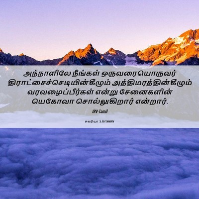 Picture 06 - சகரியா 3:10 TAMIRV - அந்நாளிலே நீங்கள் - Bible Verse Picture
