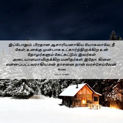 Picture 06 - சகரியா 3:8 TAMIRV - இப்போதும், பிரதான - Bible Verse Picture