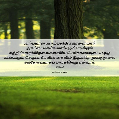 Picture 06 - சகரியா 4:10 TAMIRV - அற்பமான - Bible Verse Picture