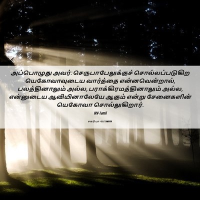Picture 06 - சகரியா 4:6 TAMIRV - அப்பொழுது அவர்: - Bible Verse Picture