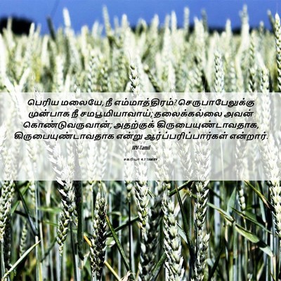 Picture 06 - சகரியா 4:7 TAMIRV - பெரிய மலையே, நீ - Bible Verse Picture
