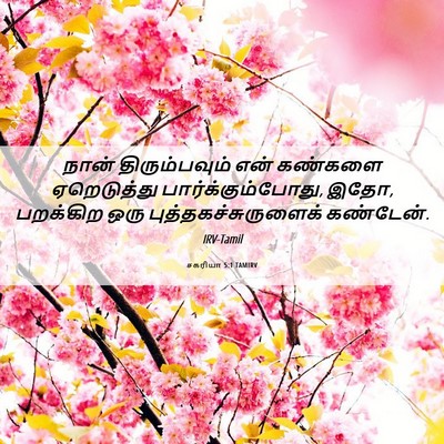Picture 06 - சகரியா 5:1 TAMIRV - நான் திரும்பவும் - Bible Verse Picture
