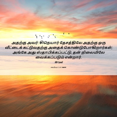 Picture 06 - சகரியா 5:11 TAMIRV - அதற்கு அவர்: - Bible Verse Picture