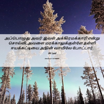 Picture 06 - சகரியா 5:8 TAMIRV - அப்பொழுது அவர்: - Bible Verse Picture