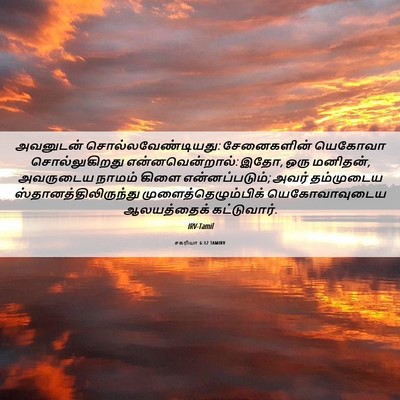 Picture 06 - சகரியா 6:12 TAMIRV - அவனுடன் - Bible Verse Picture