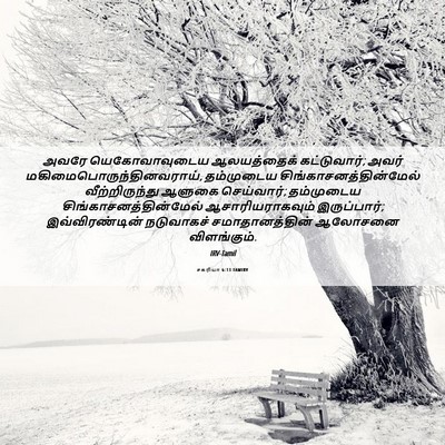 Picture 06 - சகரியா 6:13 TAMIRV - அவரே யெகோவாவுடைய - Bible Verse Picture