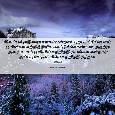 Picture 06 - சகரியா 6:7 TAMIRV - சிவப்புக் - Bible Verse Picture
