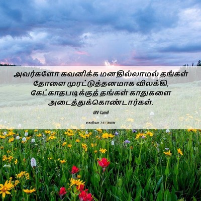 Picture 06 - சகரியா 7:11 TAMIRV - அவர்களோ கவனிக்க - Bible Verse Picture