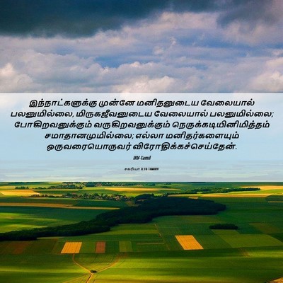 Picture 06 - சகரியா 8:10 TAMIRV - இந்நாட்களுக்கு - Bible Verse Picture