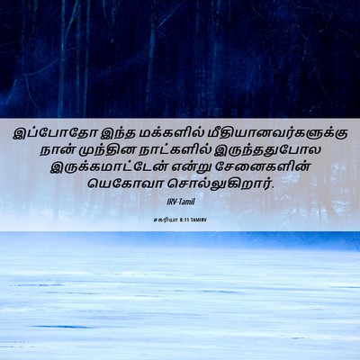 Picture 06 - சகரியா 8:11 TAMIRV - இப்போதோ இந்த - Bible Verse Picture