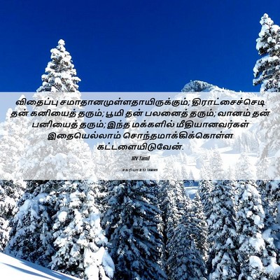 Picture 06 - சகரியா 8:12 TAMIRV - விதைப்பு - Bible Verse Picture