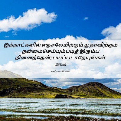 Picture 06 - சகரியா 8:15 TAMIRV - இந்நாட்களில் - Bible Verse Picture