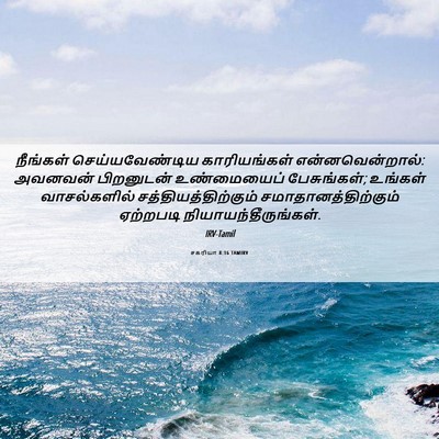 Picture 06 - சகரியா 8:16 TAMIRV - நீங்கள் - Bible Verse Picture