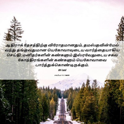 Picture 06 - சகரியா 9:1 TAMIRV - ஆதிராக் - Bible Verse Picture