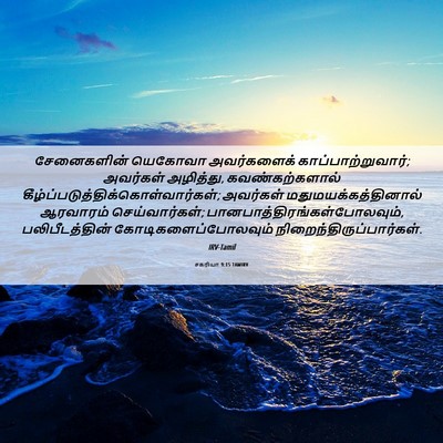 Picture 06 - சகரியா 9:15 TAMIRV - சேனைகளின் யெகோவா - Bible Verse Picture